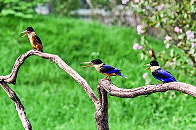 《黎明杀机》新章节“恐惧之根”公布 6月上线